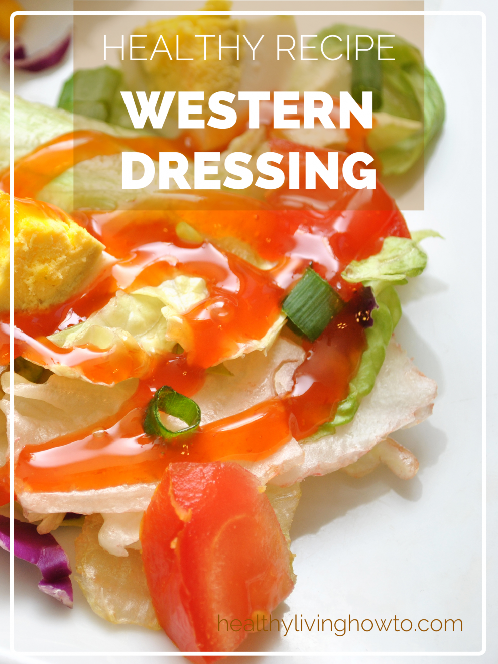 Healthy Homemade Western Dressing | healthylivinghowto.com