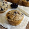 Blueberry Lemon Muffins