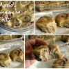 Cinnamon Rolls
