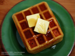 Pumpkin Protein Waffles