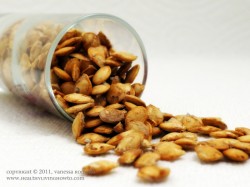 Roasted Squash Seeds
