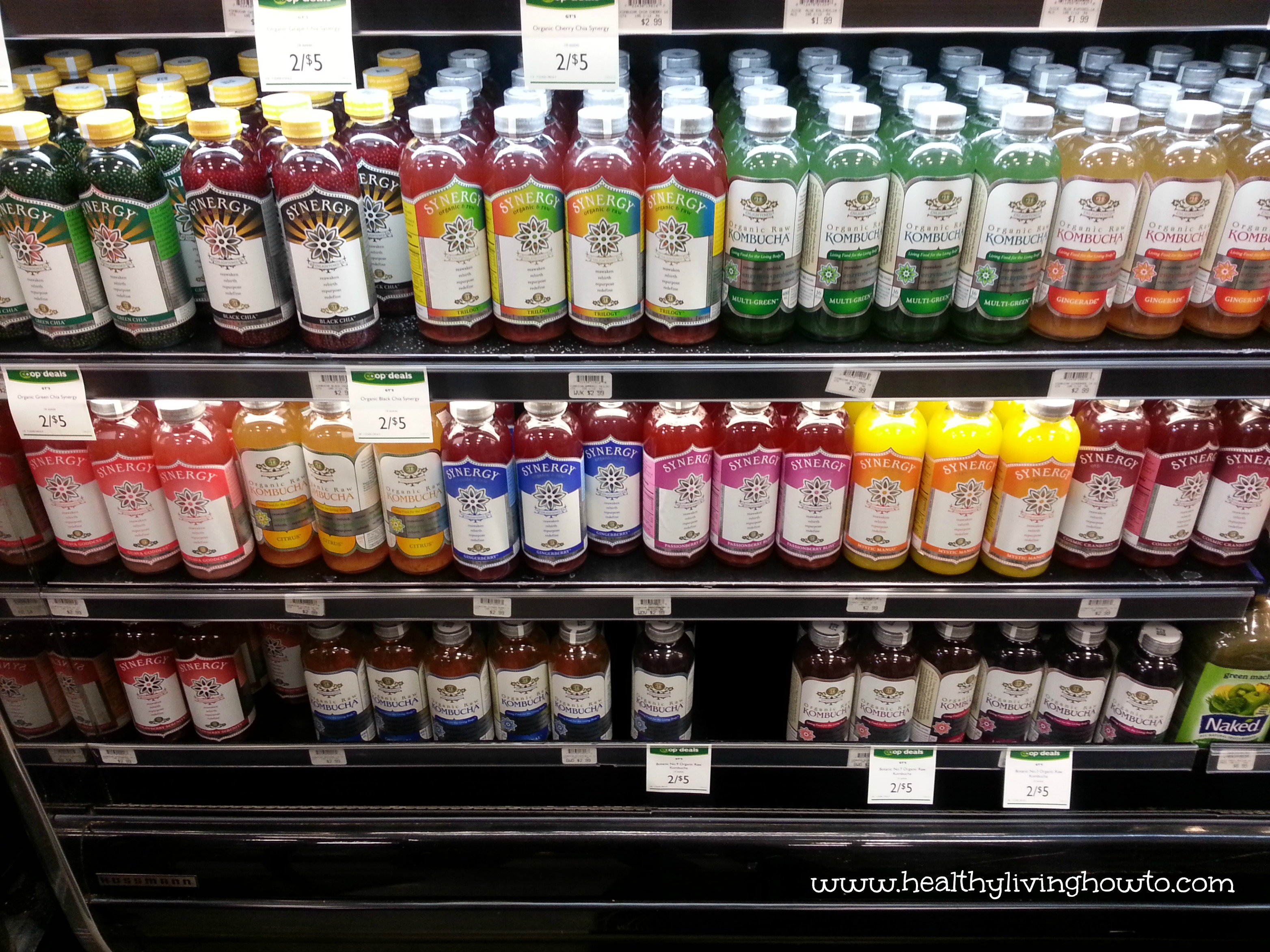 Kombucha Case