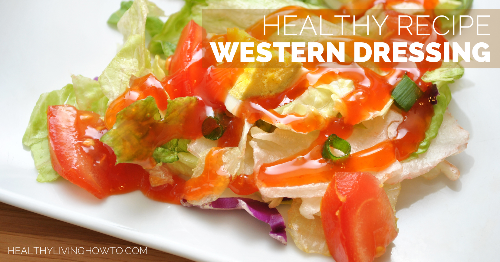 Healthy Homemade Western Dressing | healthylivinghowto.com