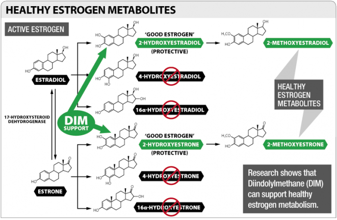 Healthy Estrogen Metabolism
