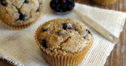 Blueberry Lemon Muffins