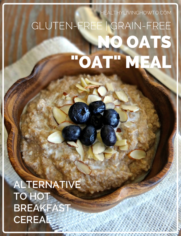 No Oats Oatmeal | healthylivinghowto.com