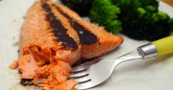 Super Simple Sockeye Salmon