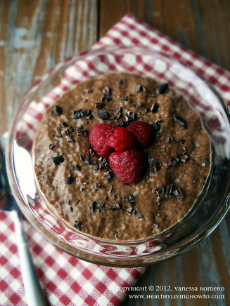 Healthy Chocolate Coconut Chia Pudding Image