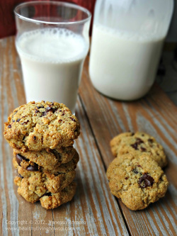 Low-Carb Chocolate Chip Cookies Image