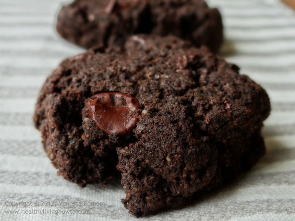 Chocolate Chocolate Chip Cookie Imagee