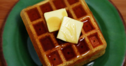 Pumpkin Protein Waffles