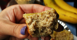 Basic Coconut Flour Muffins