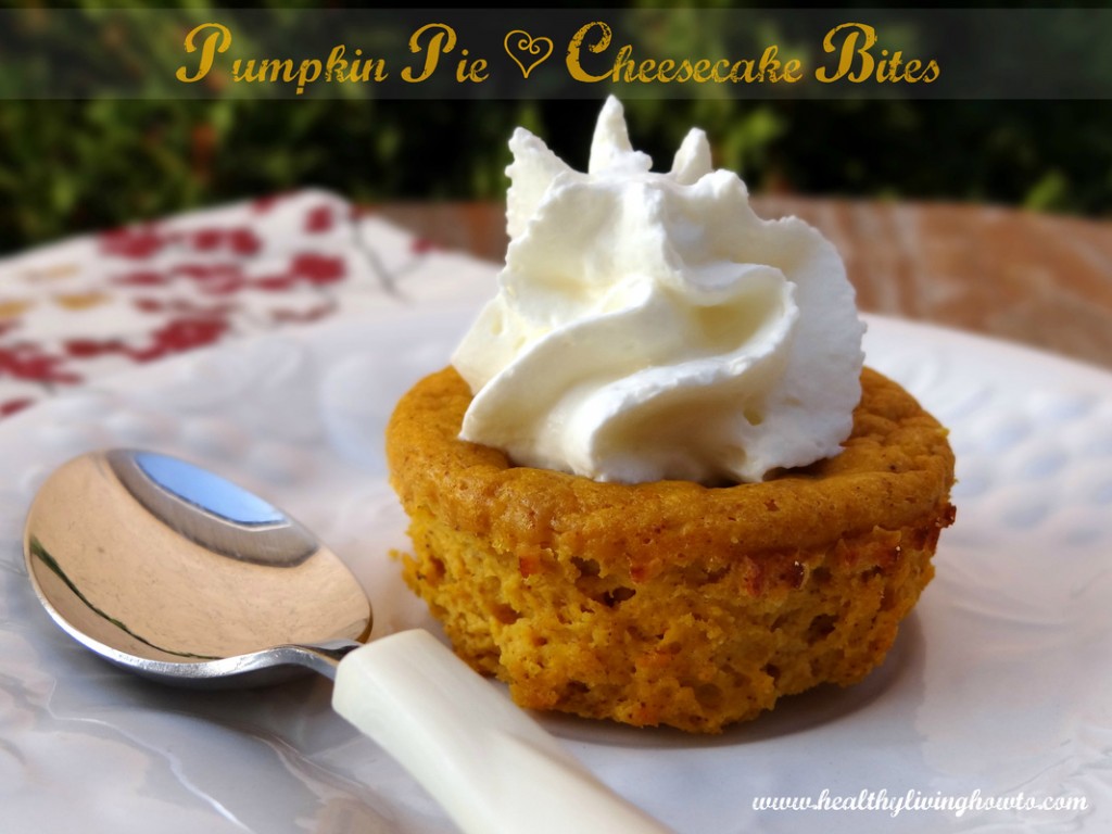 Pumpkin Pie Cheesecake Bites