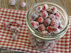 Not Sugared Cranberries1