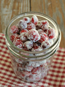 Not Sugared Cranberries2