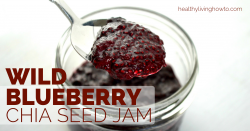 Wild Blueberry Chia Seed Jam | healthylivinghowto.com