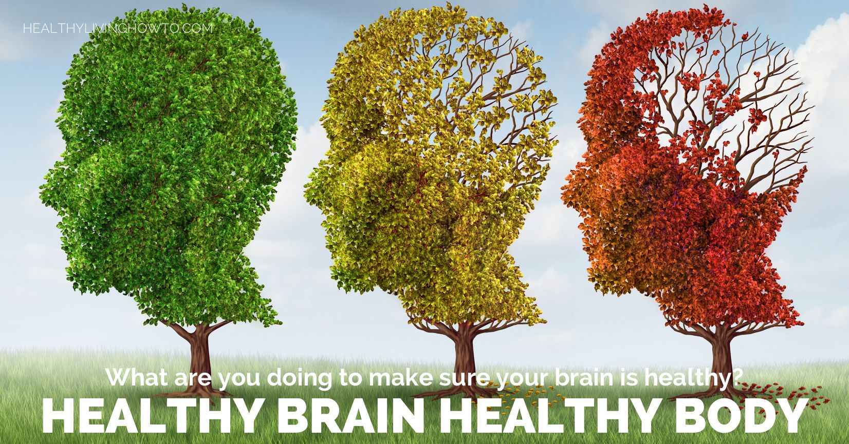 Healthy Brain Healthy Body | healthylivinghowto.com