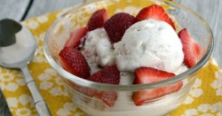 Philadelphia-Style Dairy-Free Ice Cream