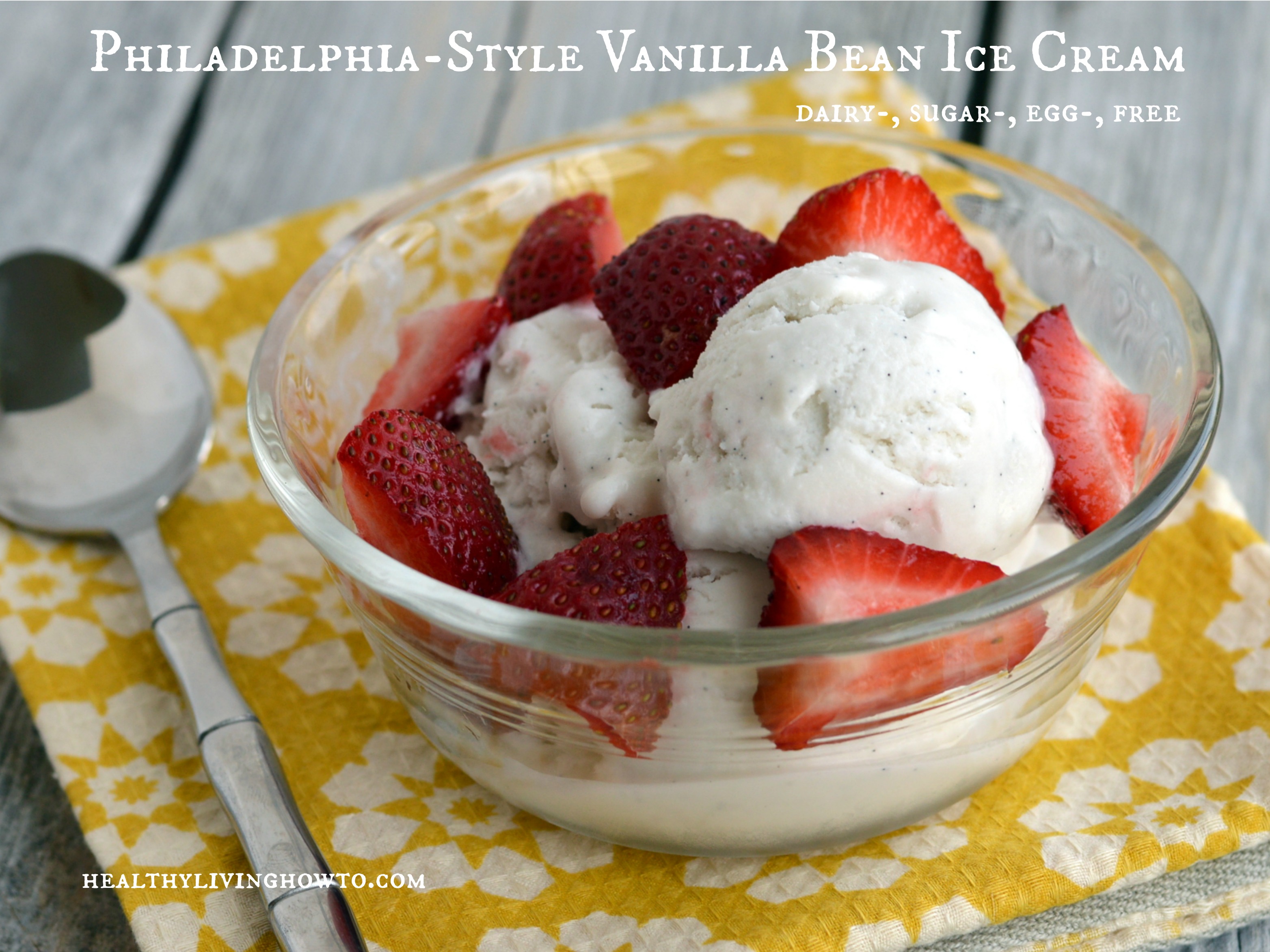 Philadelphia-Style Vanilla Bean Ice Cream