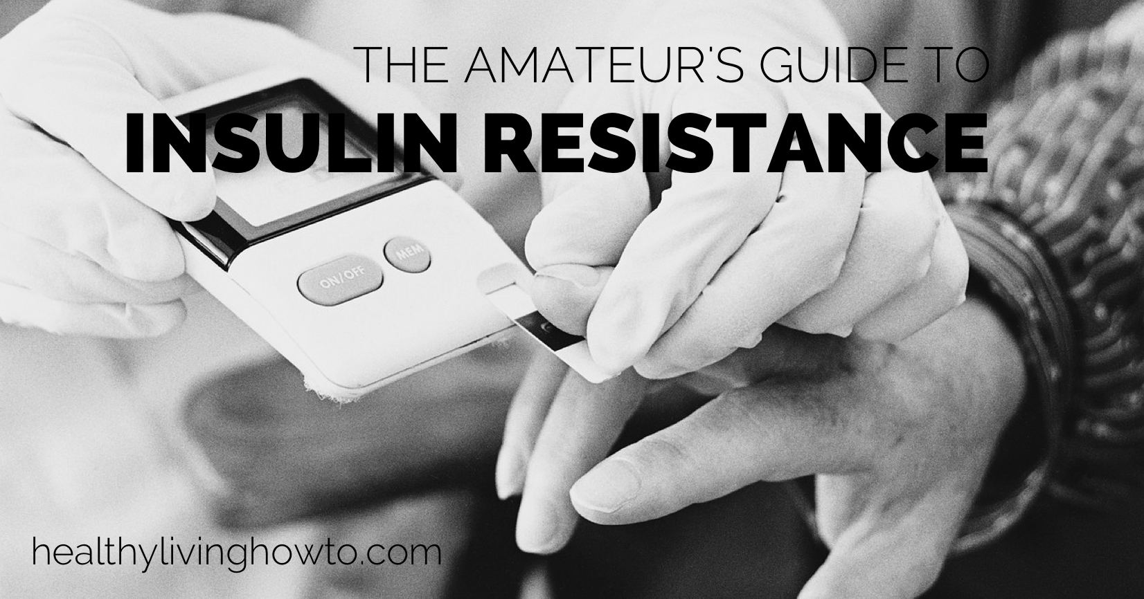 Guide to Insulin Resistance