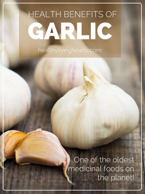 Health Benefits of Garlic | healthylivinghowto.com Health Benefits of Garlic | healthylivinghowto.com