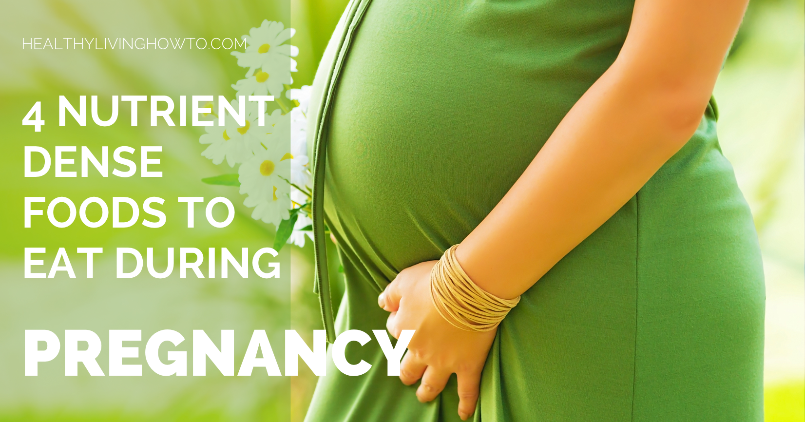 4 Nutrient Dense Foods To Eat During Pregnancy | healthylivinghowto.com