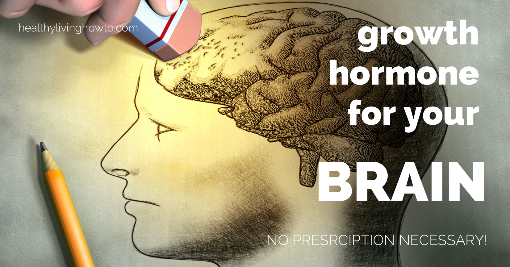 Growth Hormone For Your Brain. No Prescription Necessary! | healthylivinghowto.com