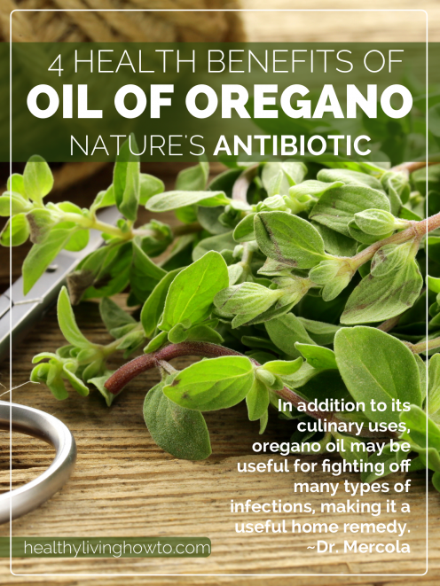 Oil of Oregano: 4 Health Benefits of Nature's Antibiotic - Healthy ...