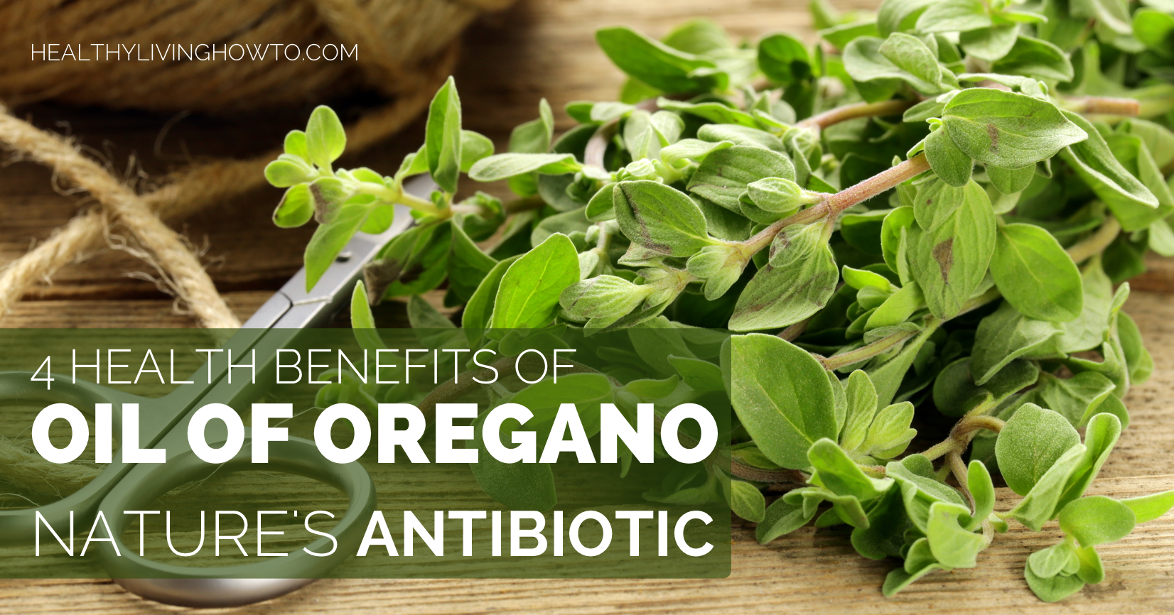 Oil of Oregano: 4 Health Benefits of Nature's Antibiotic | healthylivinghowto.com