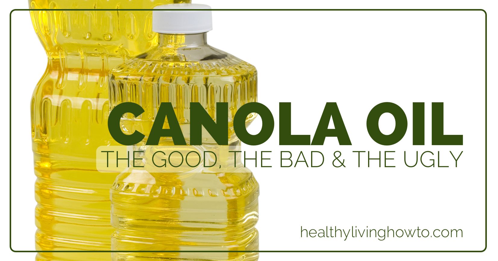 Canola Oil: The Good, The Bad, The Ugly | healthylivinghowto.com