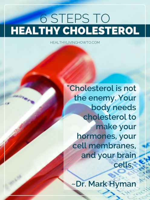 6 Steps To Healthy Cholesterol | healthylivinghowto.com 6 Steps To Healthy Cholesterol | healthylivinghowto.com