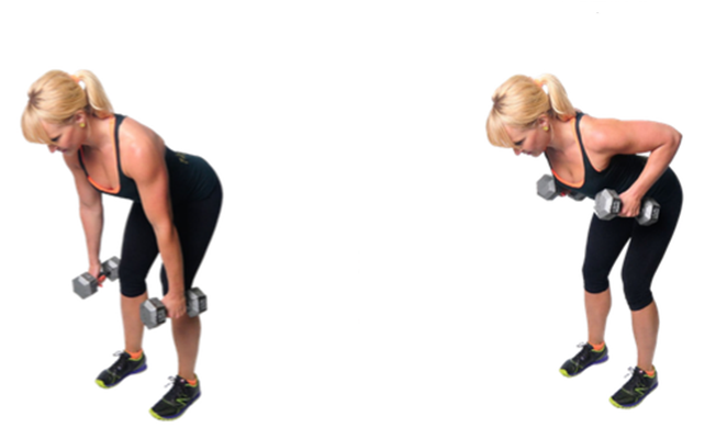 DB Double Bent-Over Row | healthylivinghowto.com