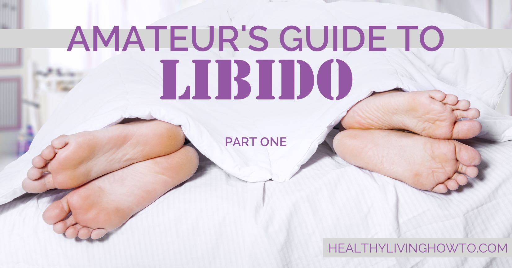 Amateur's Guide to Libido | healthylivinghowto.com